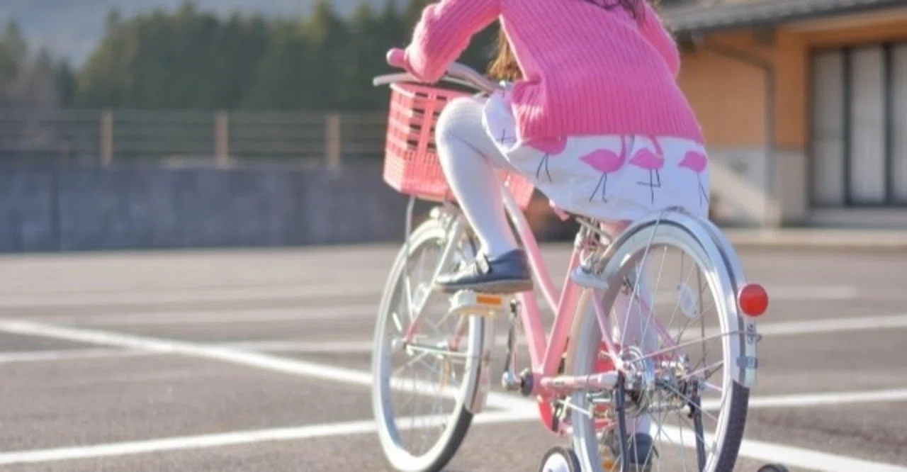 弁護士自転車雑記帖｜自然とのたたかい｜弁護士山下瑞木