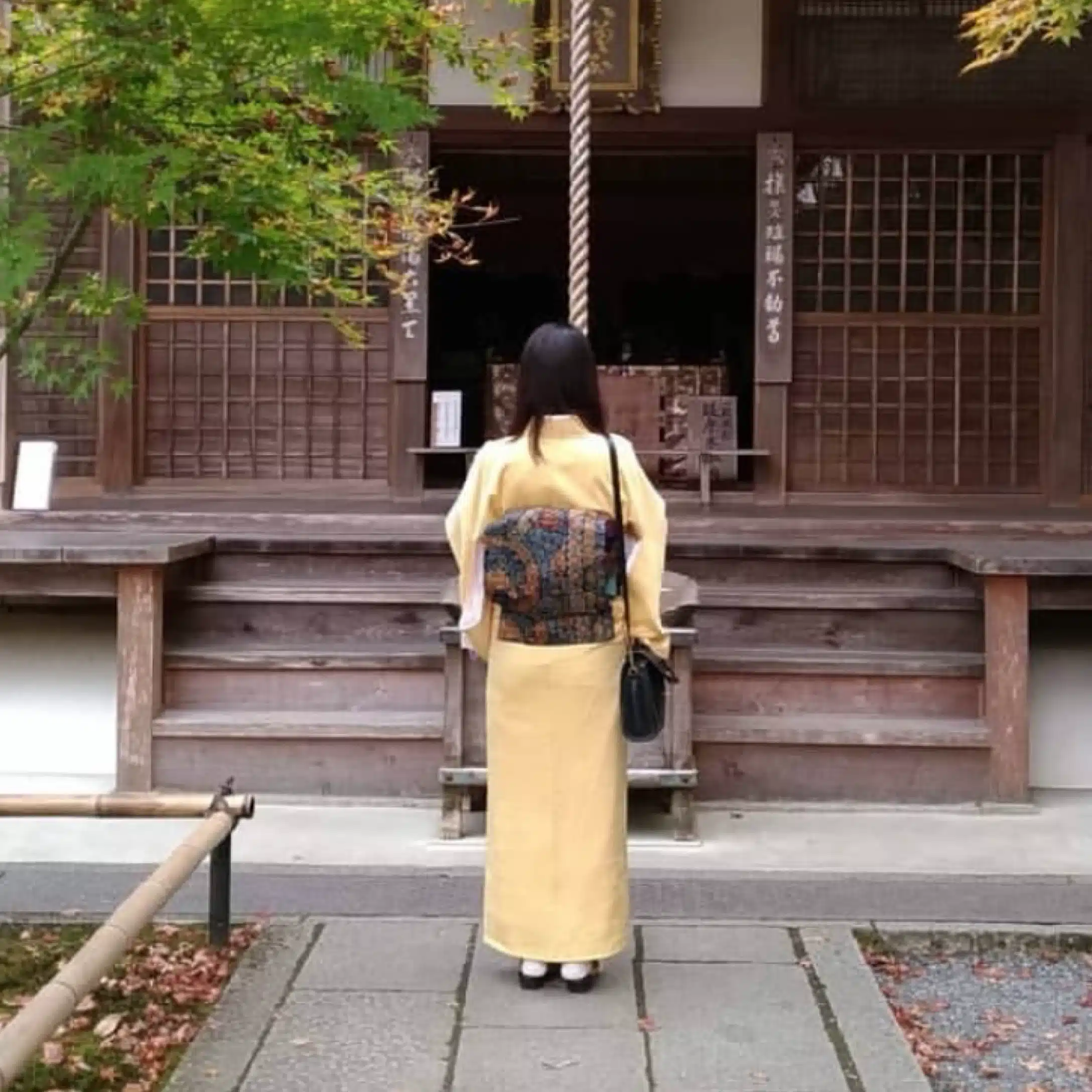 鶯(祈り人)🌕