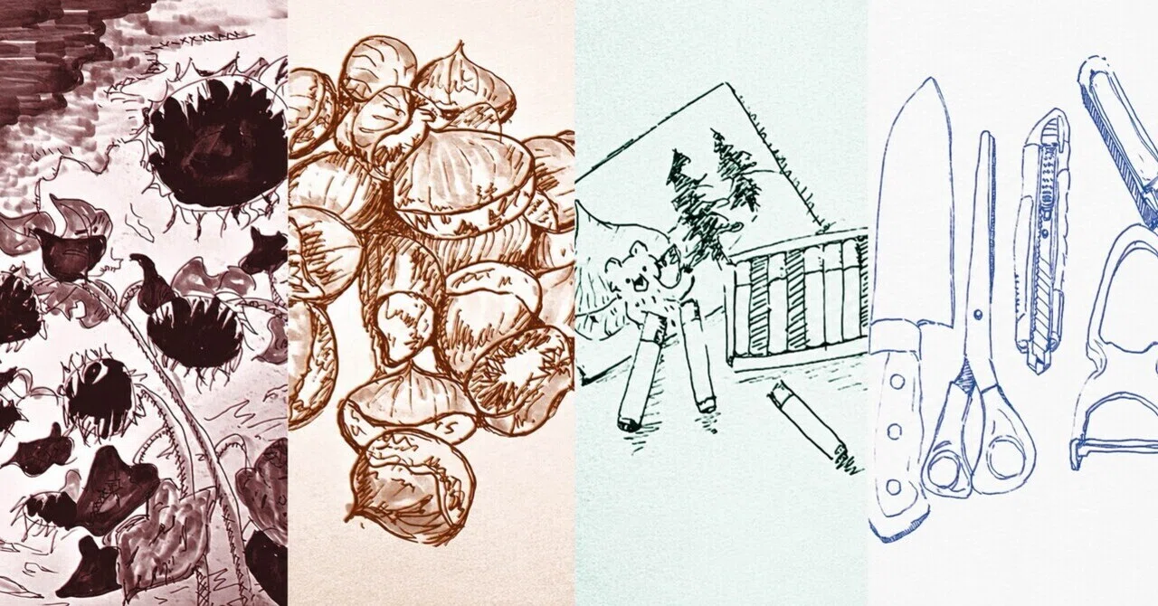 コラボZINEの道 - 2026-07｜ささとん｜note