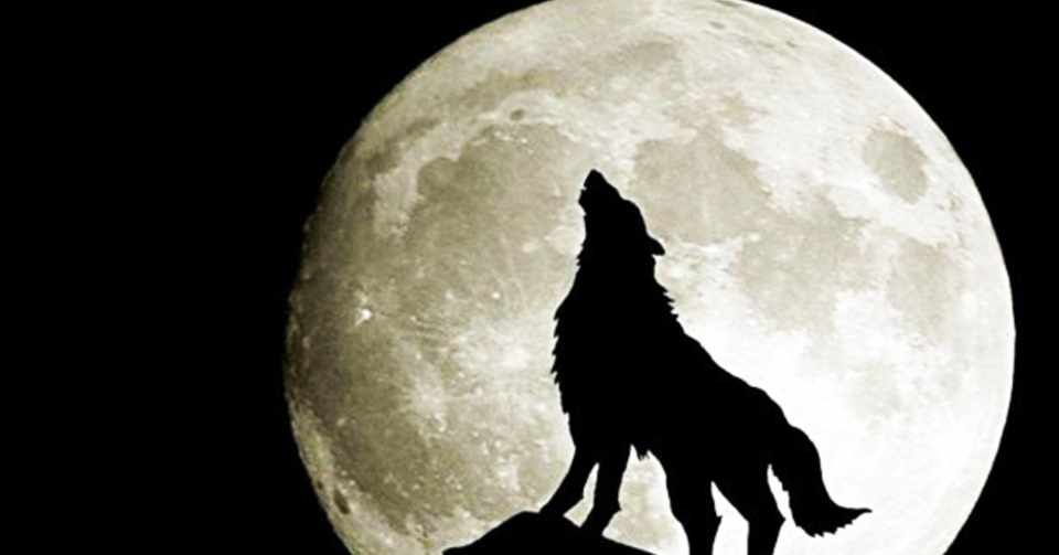 人狼 9人村 市民欠け10a 盤面整理編2 わんだー Note