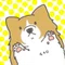 ハーちゃん