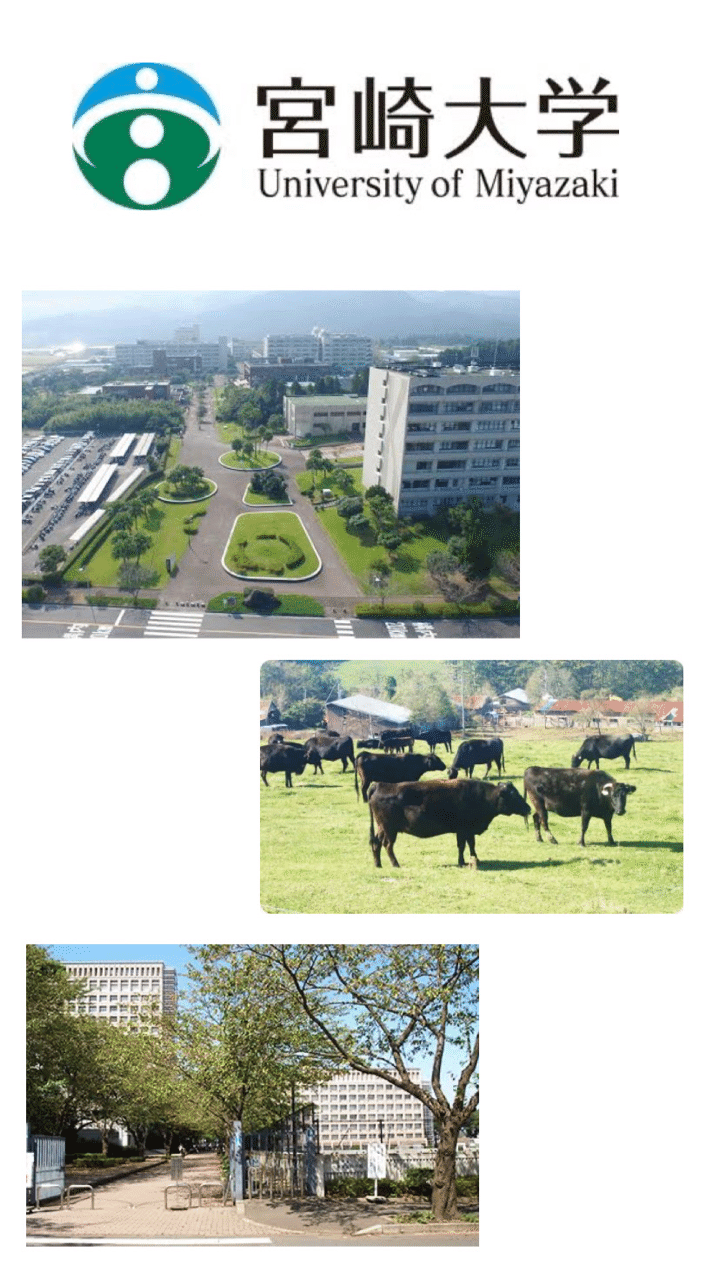 宮崎大学 獣医学科 獣医学部入試情報まとめ Note