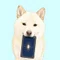 たま🐾Ka.mu.Ta.ma.見守り犬