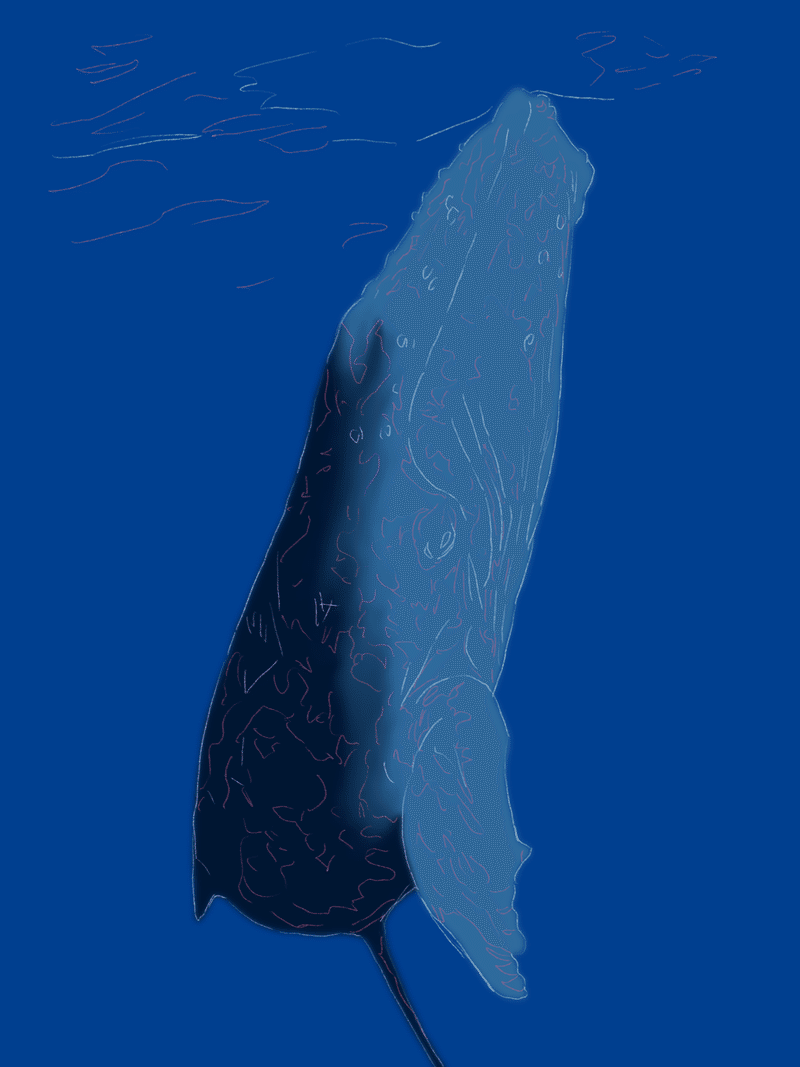 デジタルでクジラを描く 陸河童 Note