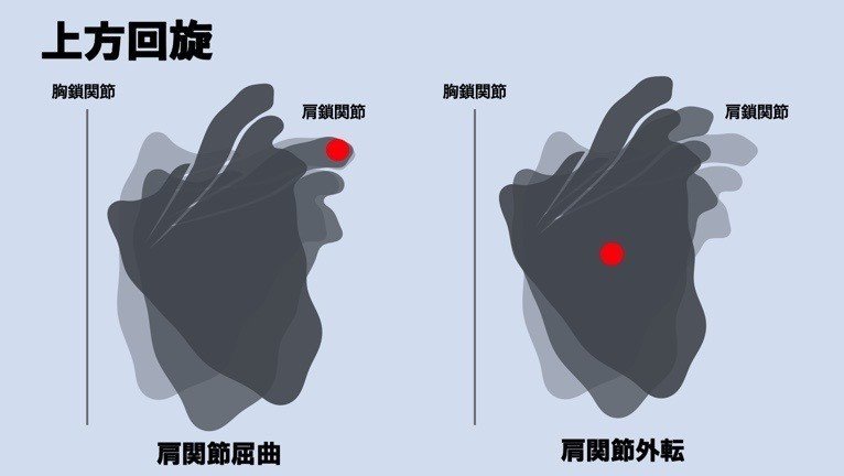 肩甲骨上方回旋とは たくみロドリゲス 運動器理学療法士 Note