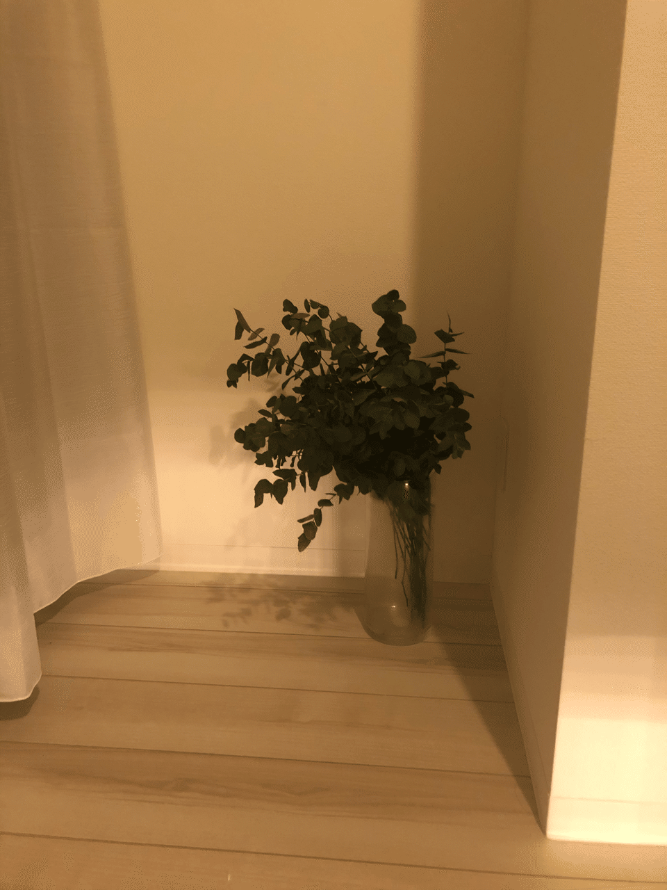 花を枯らしちゃう人向け 楽して家に植物を飾る方法 なむなむ まったり Note