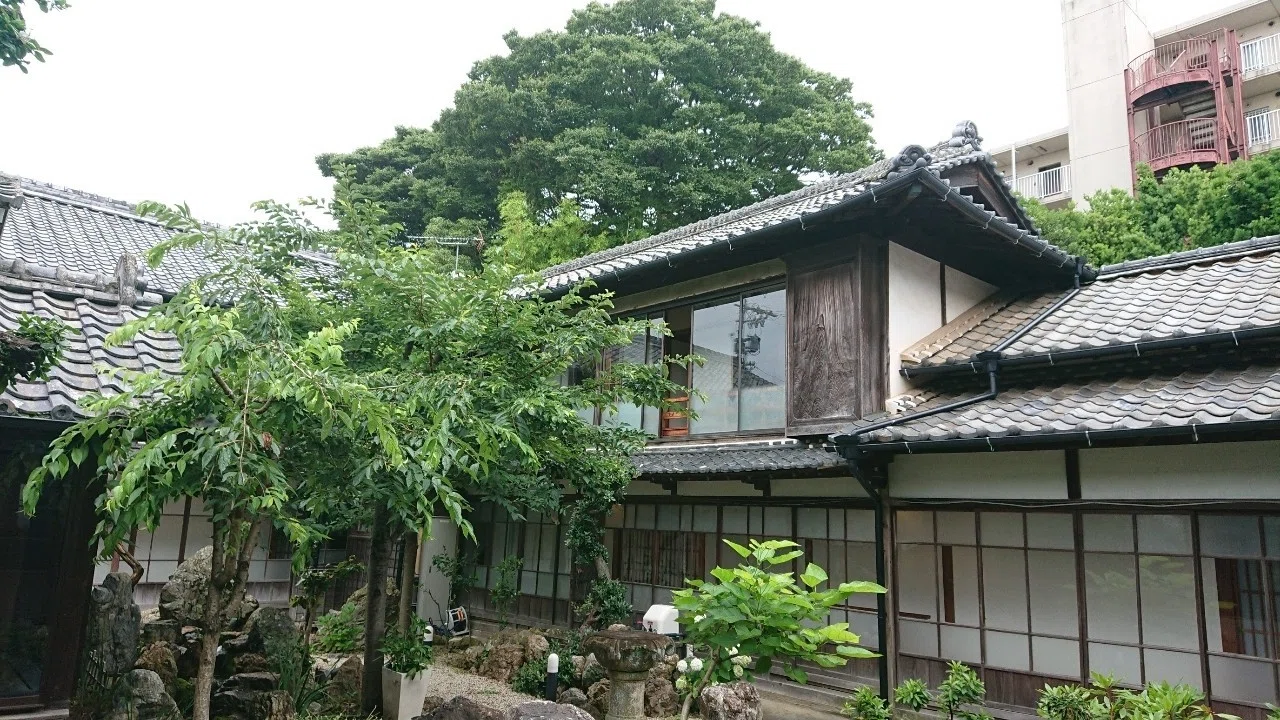 画像4