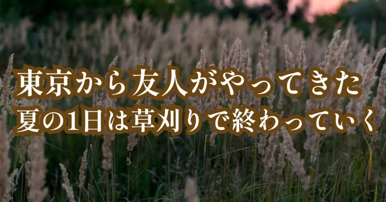 見出し画像