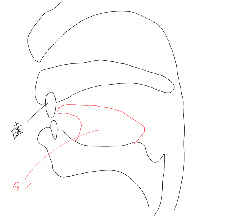 Vol 5 英語 Sの発音ってさ あさみどん Note