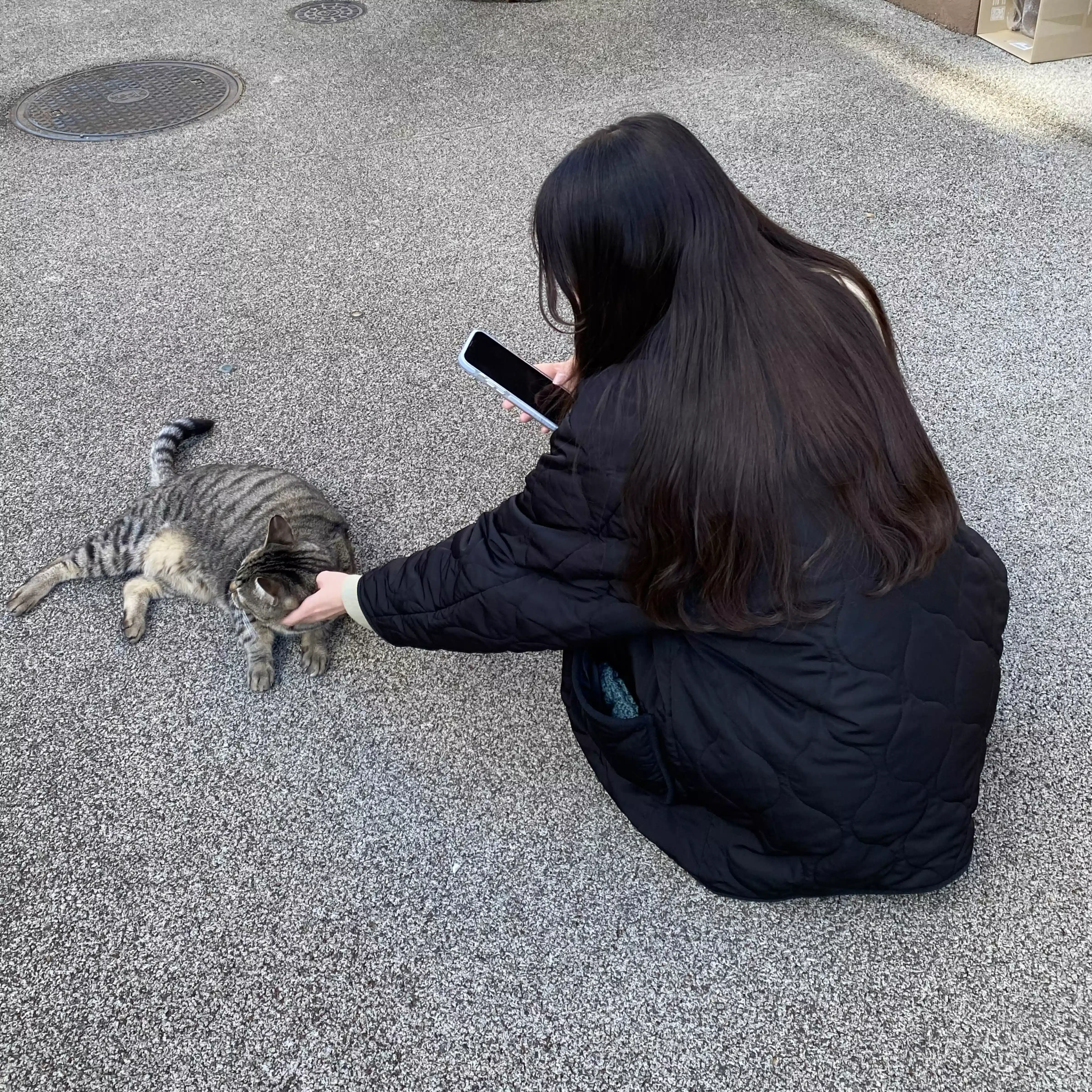 ヨモギ