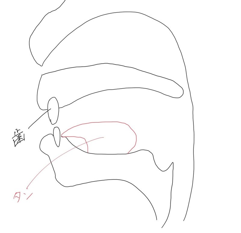Vol 5 英語 Sの発音ってさ あさみどん Note