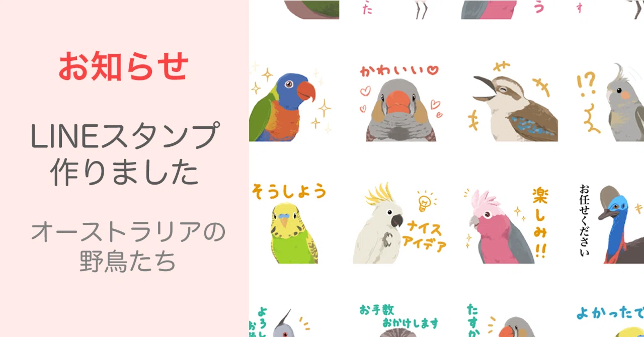 LINEスタンプリリース】オーストラリアの野鳥たち｜花蓑かなこ