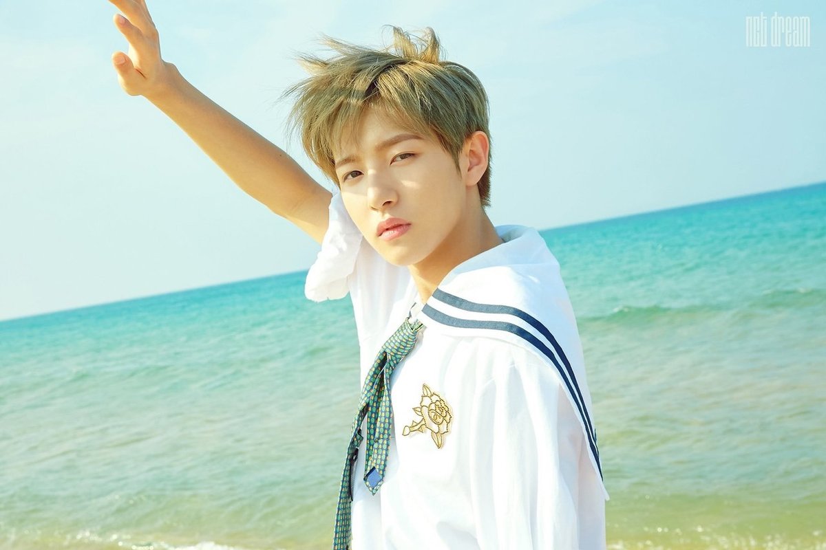 NCT DREAM ロンジュン 40cm ロンミャン sumflowerさま専用 nct dream Go Back To The Future ロンジュン - メルカリ