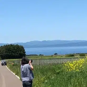 おだまみ