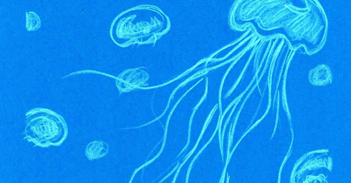 白い色鉛筆で絵を描く クラゲ編 つくえのらくがき研究 Note 白い色鉛筆で絵を描く クラゲ編 つくえのらくがき研究 Note