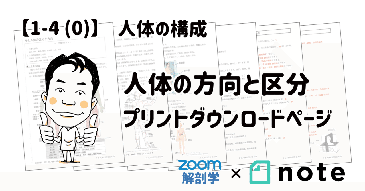 完璧すぎるが故三度も 1-4(0)】人体の構成 - 人体の区分と方向 プリントダウンロード 医学一般