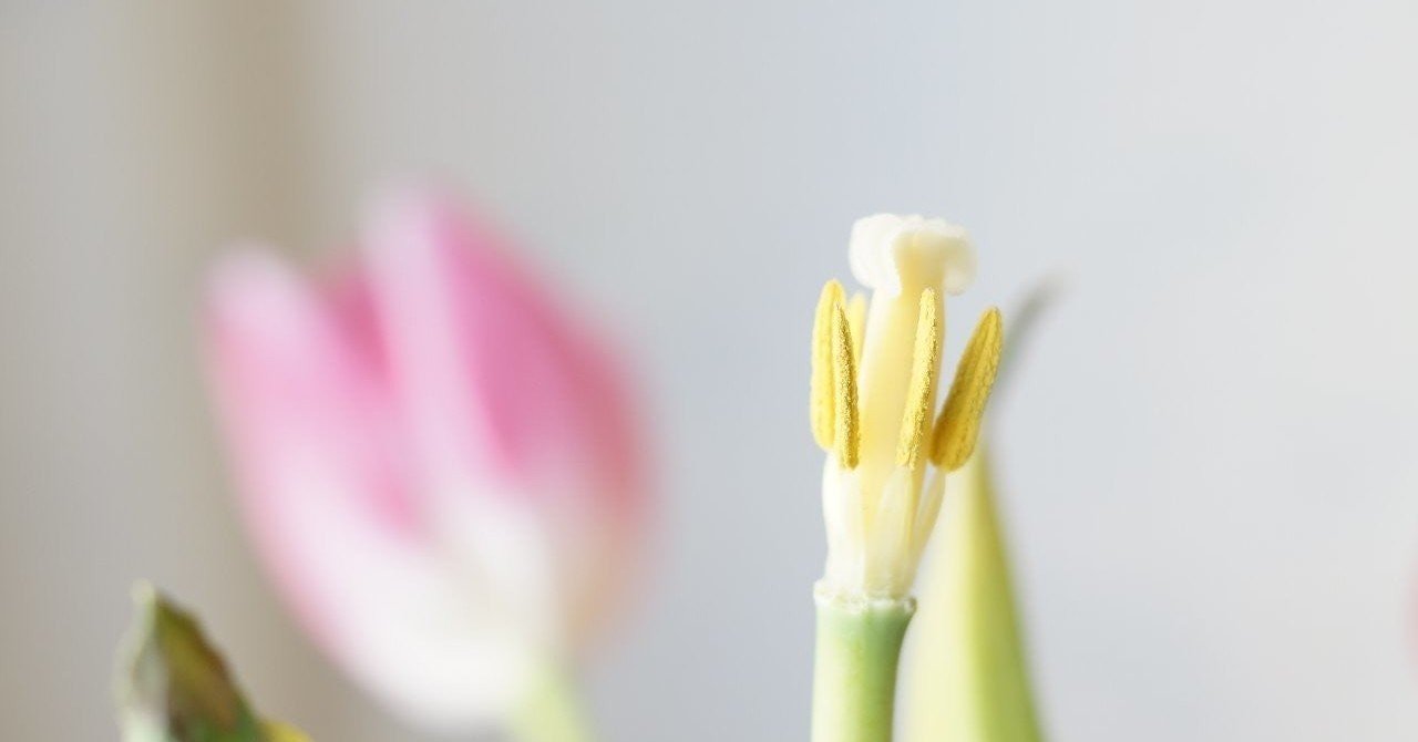 シミウス ジェルはマッサージで効果が倍増する件 落ち着かないol Note