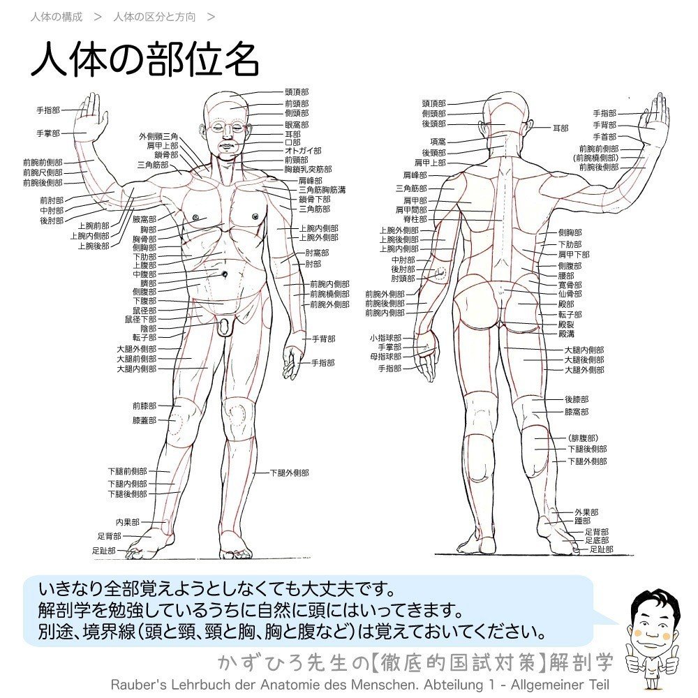 1 4 1 人体の構成 人体の方向と区分 解説 かずひろ先生 黒澤一弘 解剖学 Note