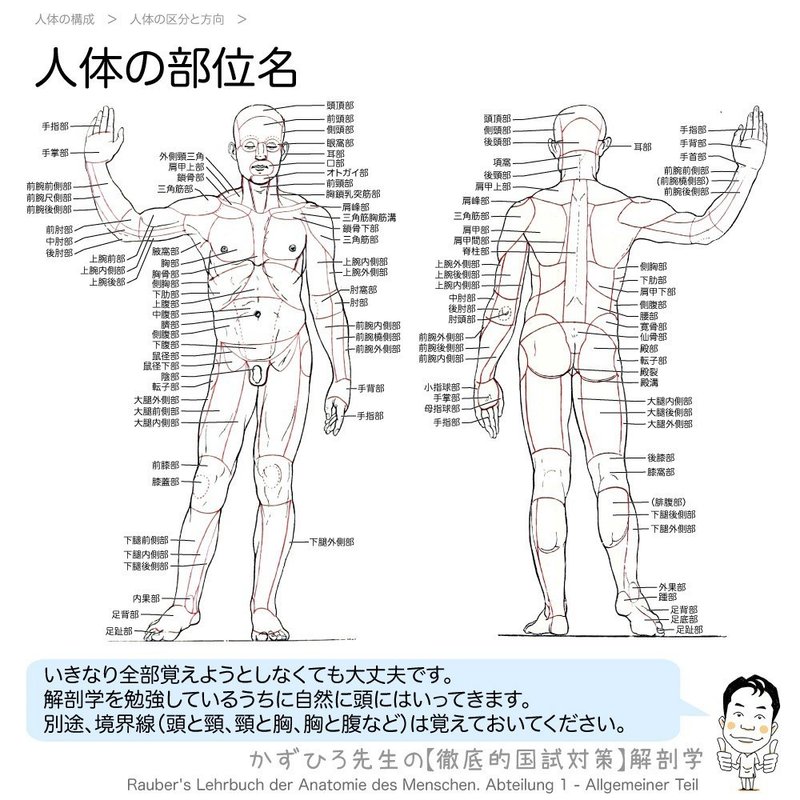 1 4 1 人体の構成 人体の方向と区分 解説 黒澤一弘 Note
