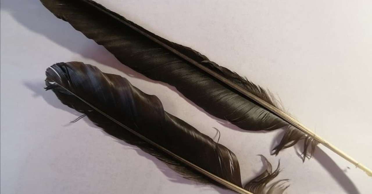 カラス スピリチュアルメッセージ 福じぞう Note