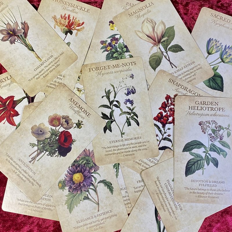 花のオラクルカード Botanical Inspirations 星降夜子 Note