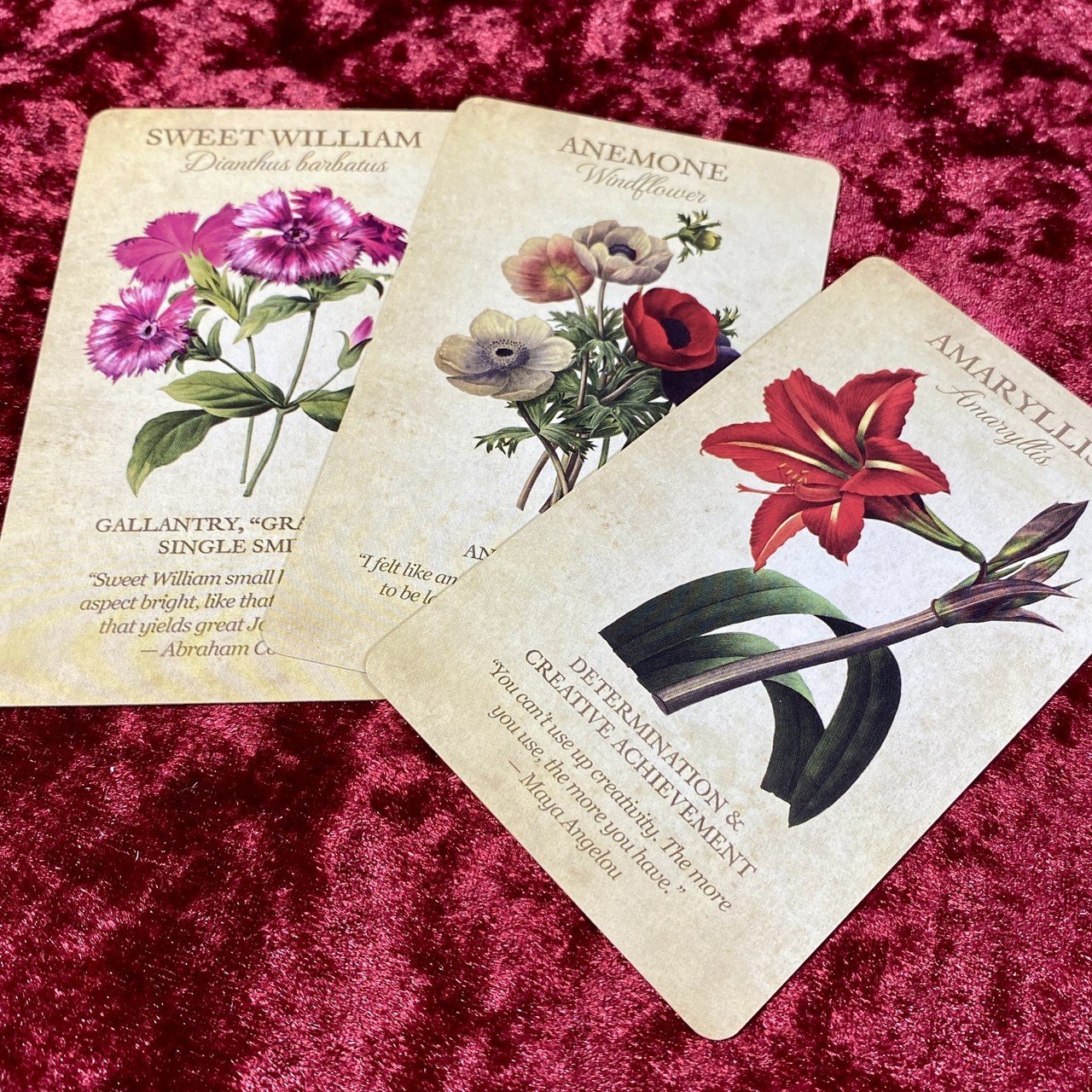 【正規品オラクルカード】エレガントローズ色✨美しいヴィンテージイラスト薔薇デッキ 正規品オラクルカード】エレガントローズ色✨美しいヴィンテージ