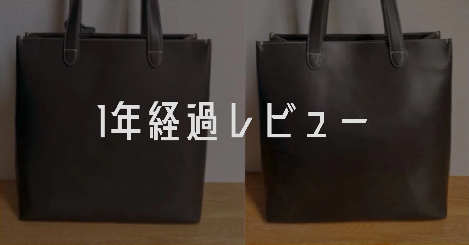 1年経過レビュー】土屋鞄ディアリオ トールトートの経年変化と使い心地