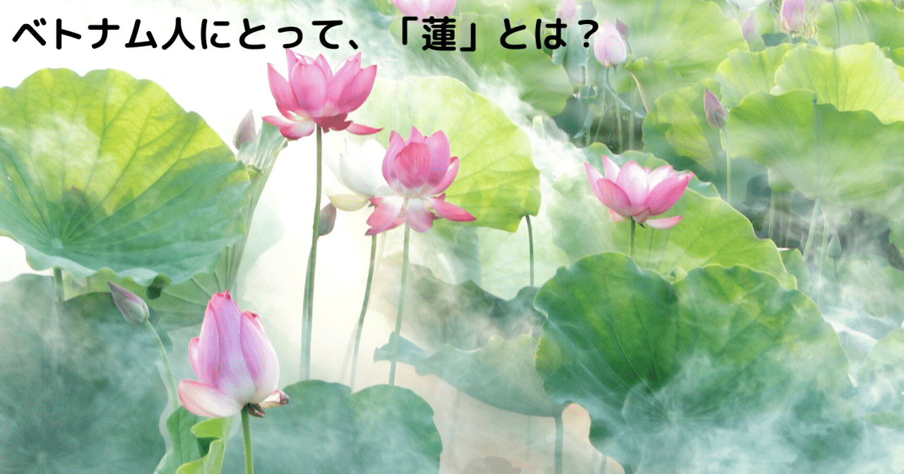 ベトナム人にとって 蓮 とは ベト勤japanese By Beetsoft Note ベトナム人にとって 蓮 とは ベト勤japanese By Beetsoft Note