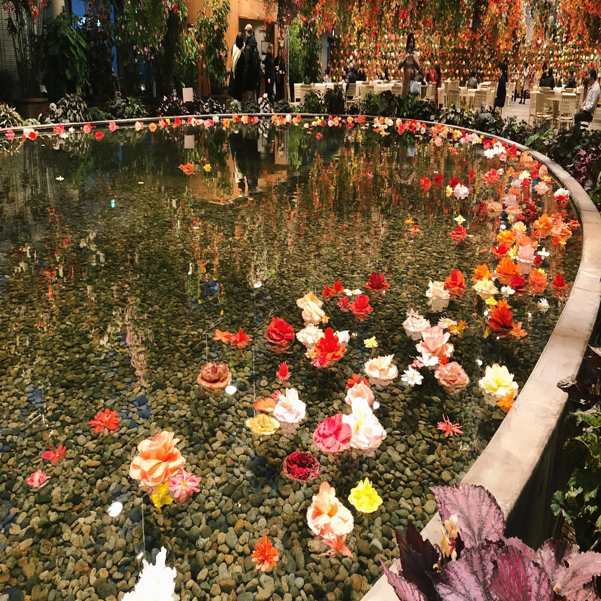 Topics 花を水に浮かべて Snsで話題の 花手水 とは Hanaike はないけ Note