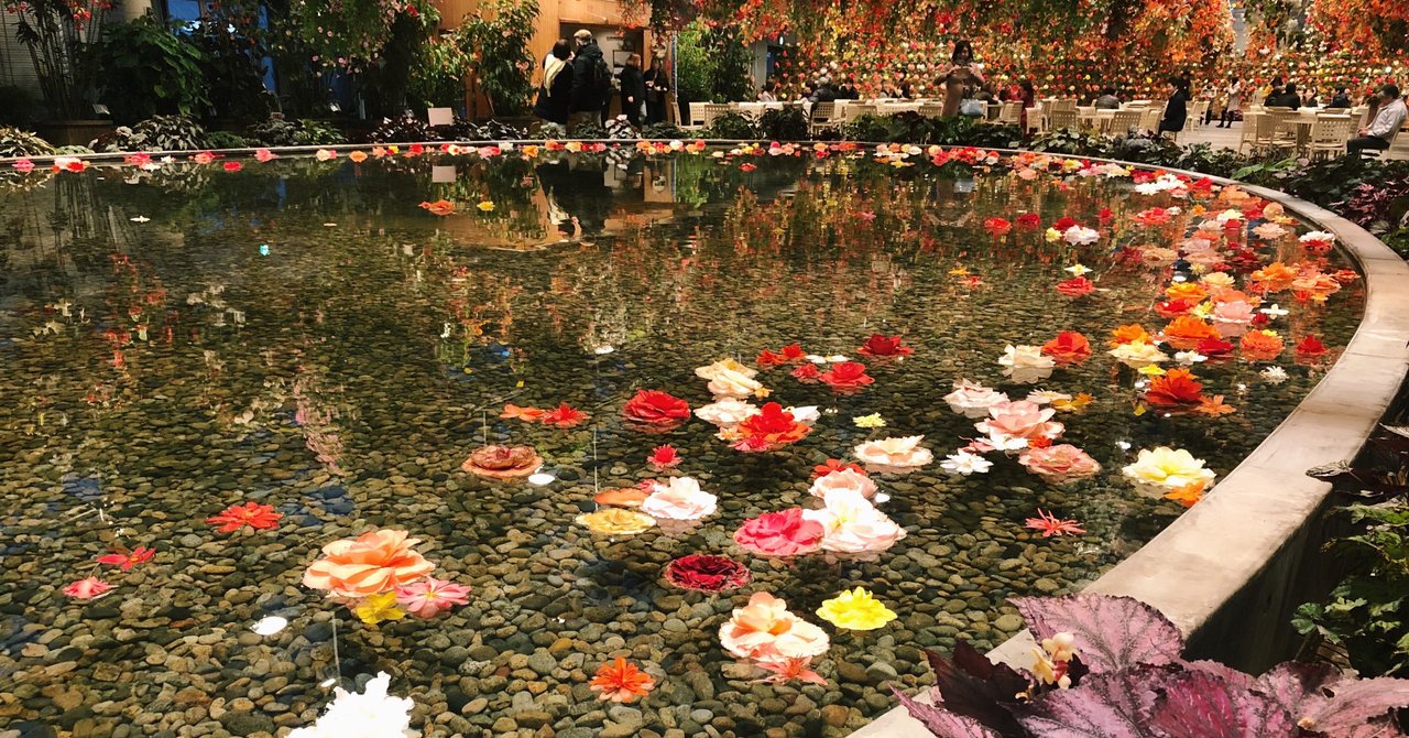 Topics 花を水に浮かべて Snsで話題の 花手水 とは Hanaike はないけ Note