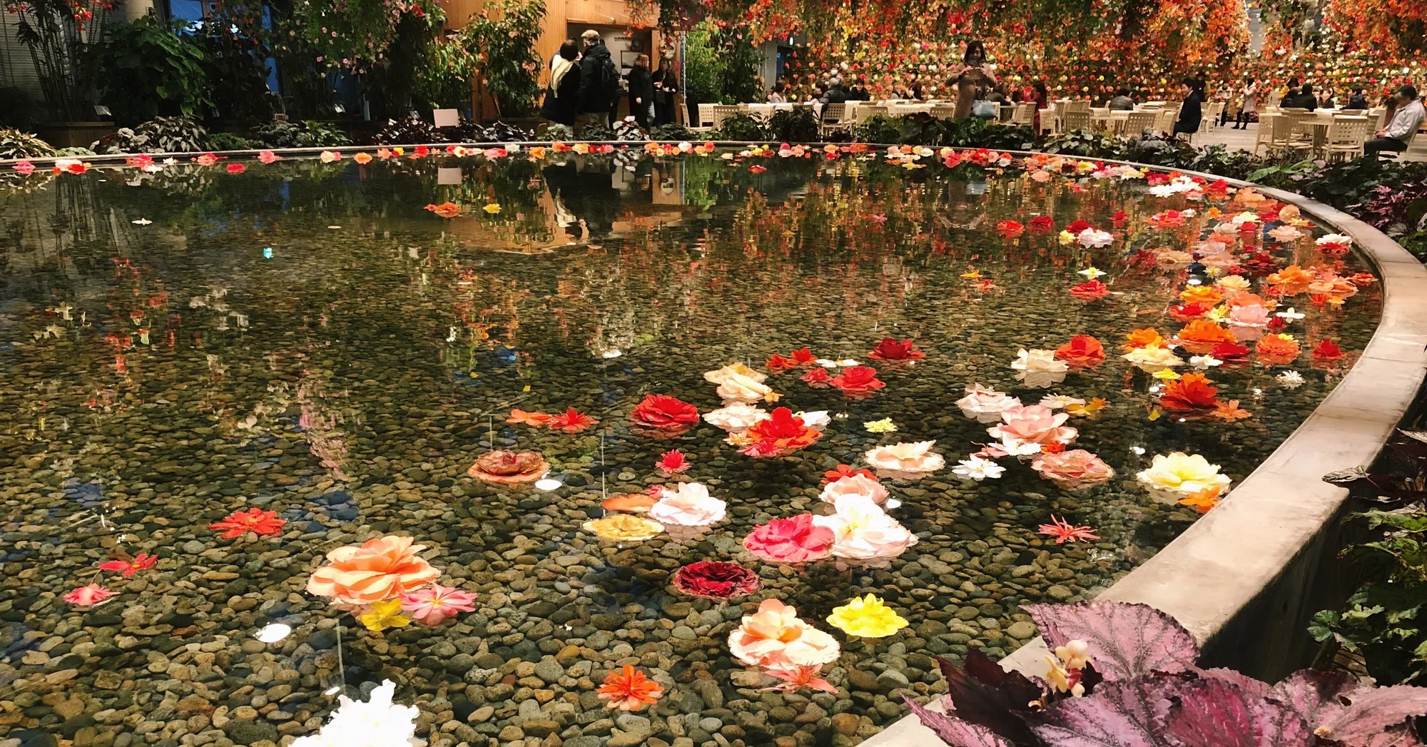 Topics 花を水に浮かべて Snsで話題の 花手水 とは Hanaike はないけ Note Topics 花を水に浮かべて Snsで話題の 花手水 とは Hanaike はないけ Note