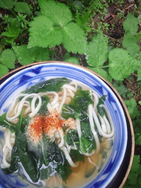 朝うどん4月27日