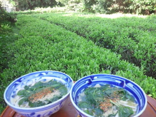 朝うどん5月4日