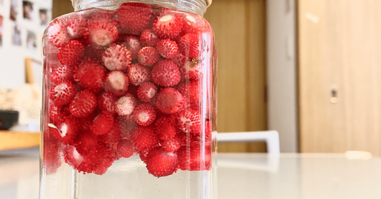 痒みがピタリ かも 初めてのヘビイチゴのチンキ 作り方 鈴木めゆ Note 痒みがピタリ かも 初めてのヘビイチゴのチンキ 作り方 鈴木めゆ Note