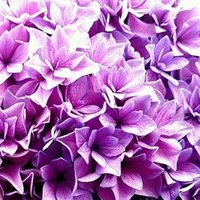 明日から無職 亜雛亜 Note