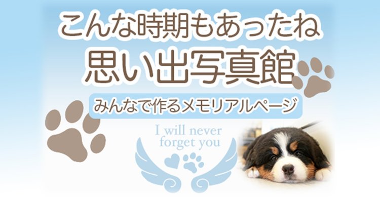 ペットの思い出写真館 ペットセレモニー美空 思い出写真館