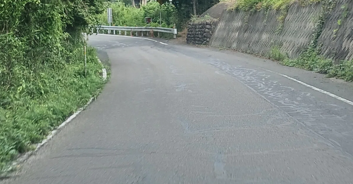 èŠåºãç»å