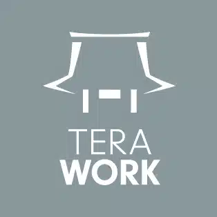TERA WORK