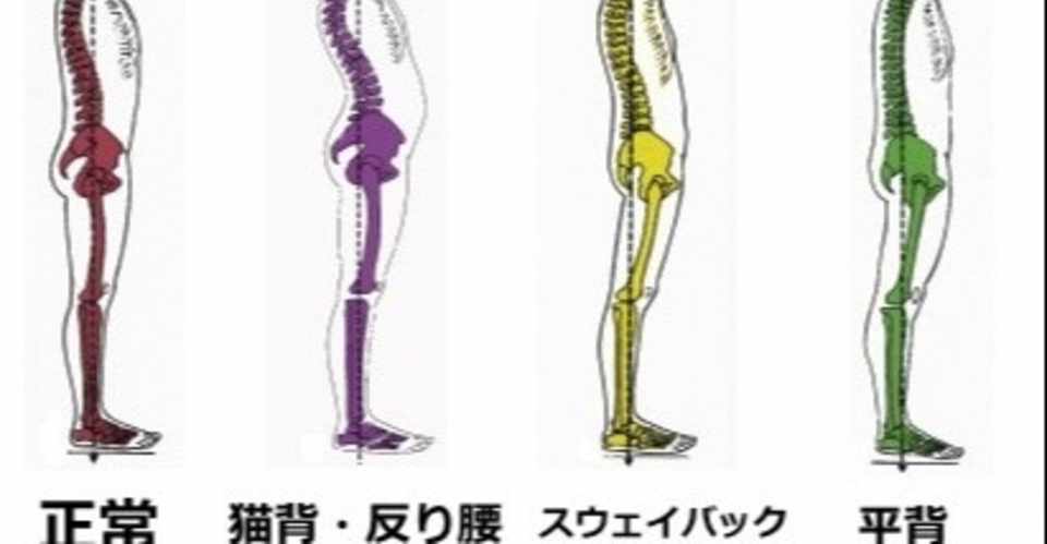 姿勢の歪みがもたらす影響について アスフィット 整体とトレーニングのお店のブログ Note