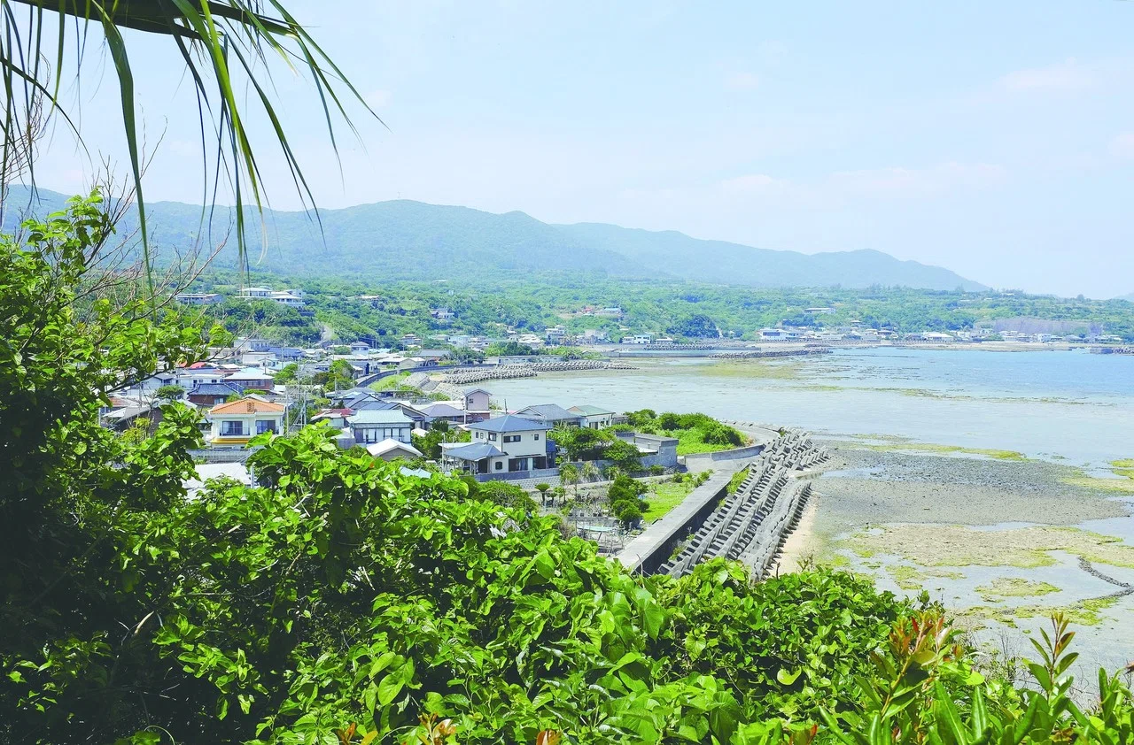 2018.09］島々百景 #31 徳之島｜e-magazine LATINA