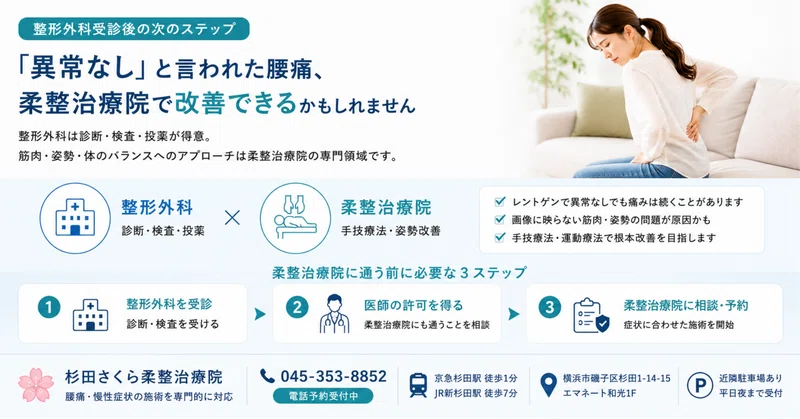 腰痛で整形外科を受診した後にすること。回復を早める次のステップを柔道整復師が解説【横浜・磯子区・杉田】