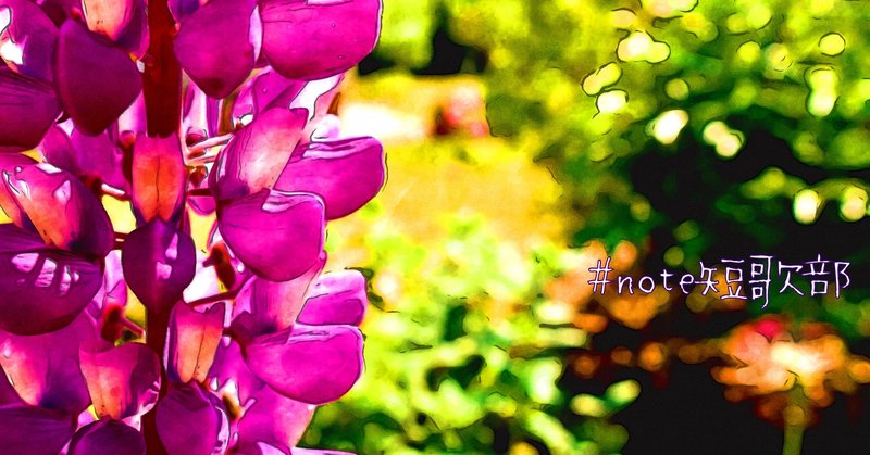 7月2日 誕生花は金魚草 Note短歌部 御子柴 流歌 Note