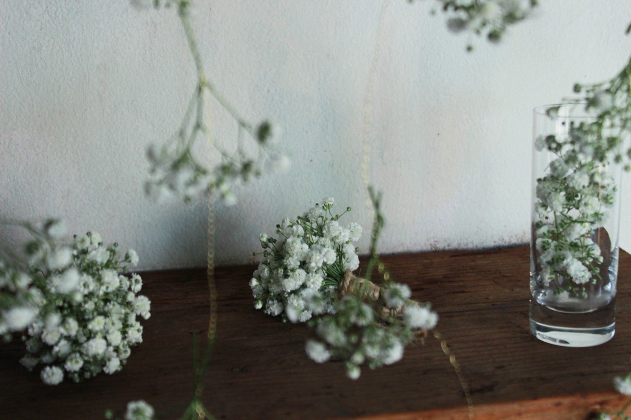 Baby S Breath カスミソウ 星屑のような花 フラワースクール Hana Kichi Note Baby S Breath カスミソウ 星屑のような花 フラワースクール Hana Kichi Note