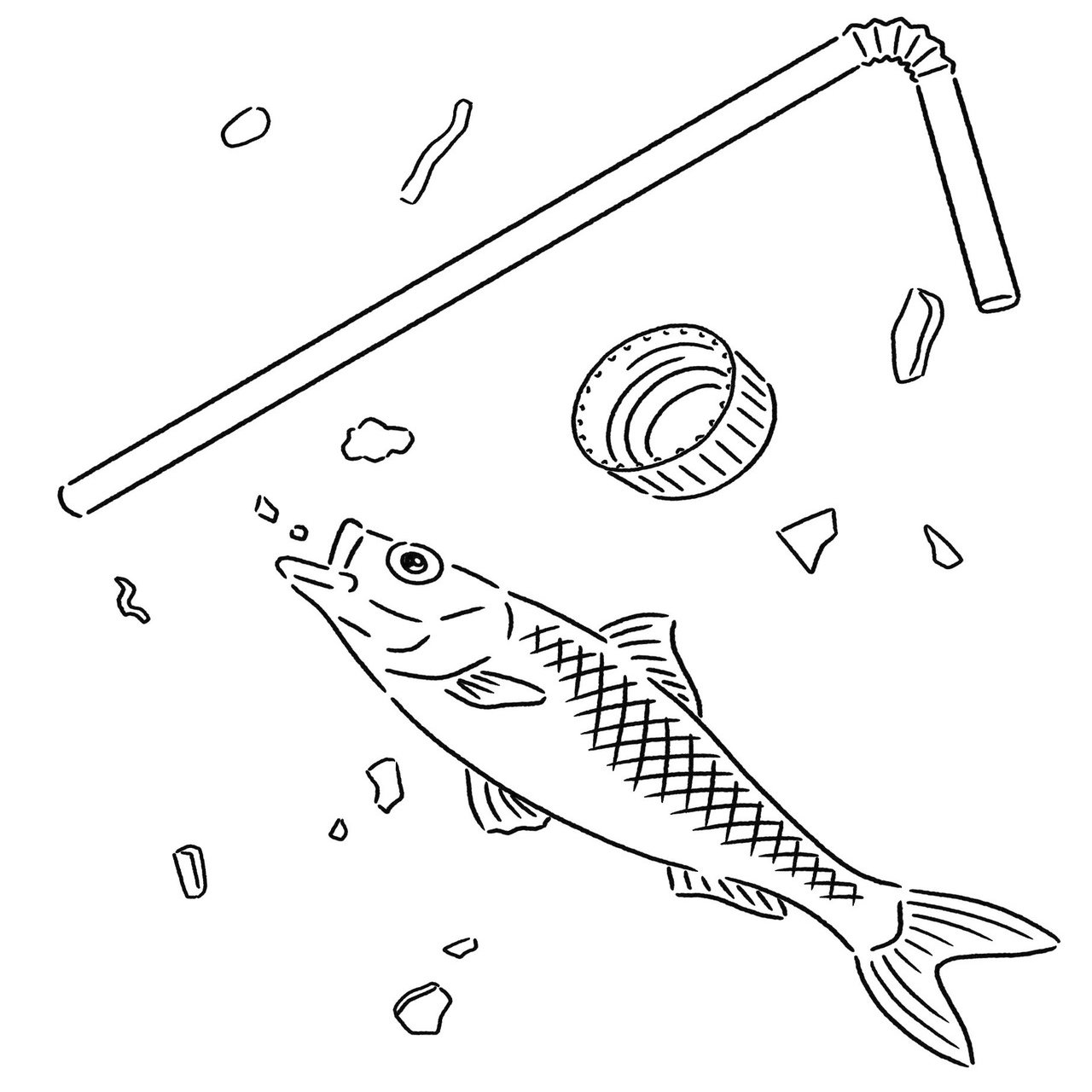 7月1日からレジ袋有料化 今こそ プラスチックを使わない生活へ プラスチック フリー生活 より 本がひらく