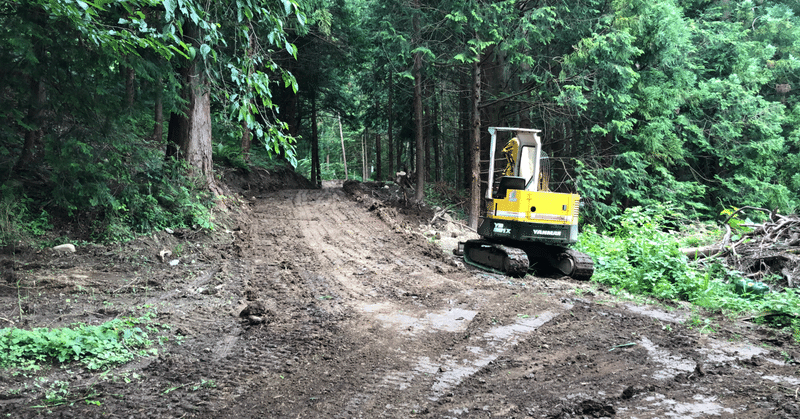 森の取り付け道路