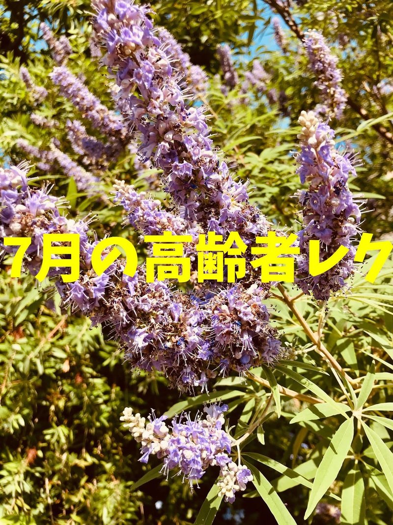 7月 七夕 の高齢者室内簡単レクリエーション ゲーム クイズ 料理一覧 ソロレクリエーション介護士のchibiike Note