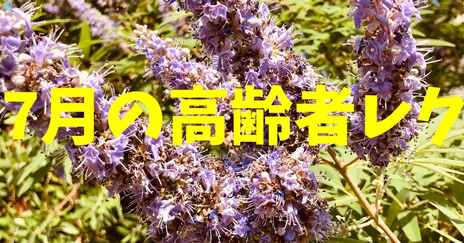 7月 七夕 の高齢者室内簡単レクリエーション ゲーム クイズ 料理一覧 ソロレクリエーション介護士のchibiike Note 7月 七夕 の高齢者室内簡単レクリエーション ゲーム クイズ 料理一覧 ソロレクリエーション介護士のchibiike Note