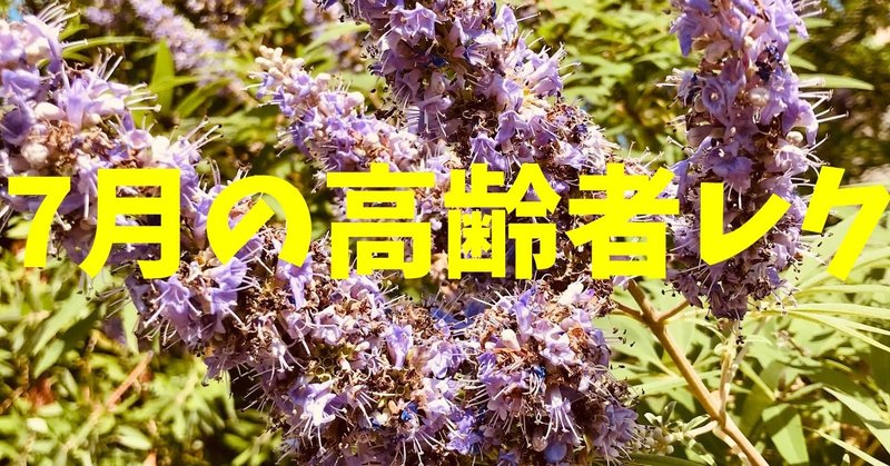 7月 七夕 の高齢者室内簡単レクリエーション ゲーム クイズ 料理一覧 ソロレクリエーション介護士のchibiike Note