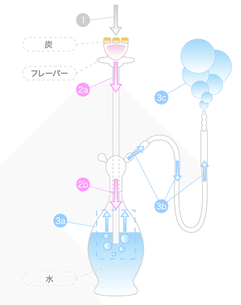 シーシャっていったい何 どんな仕組み ニコチンはあるの シーシャビギナーズガイド Note