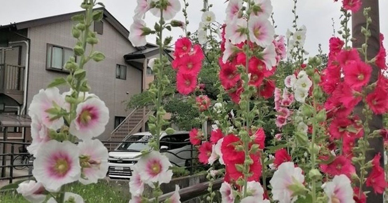 21世紀の変化の様相が描き出される 広井良典 人口減少社会という希望 コミュニティ経済の生成と地球倫理 Makoto Okada Note